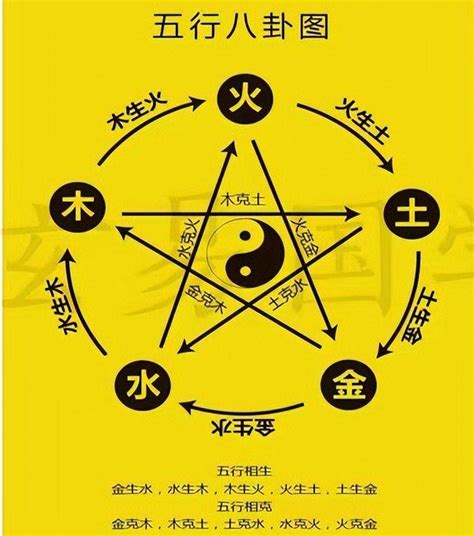 木 元素|探秘五行学说：木元素的意象与独特属性